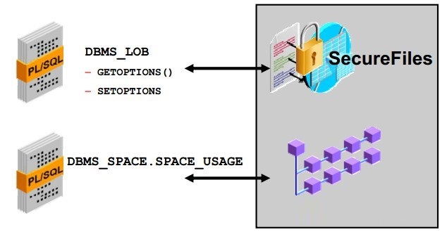 Oracle DB 數(shù)據(jù)安全管理實(shí)踐與火龍果軟件工程應(yīng)用