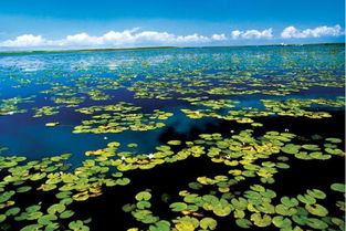 你的車除了用來上下班,還能做這件事 別錯過機(jī)會