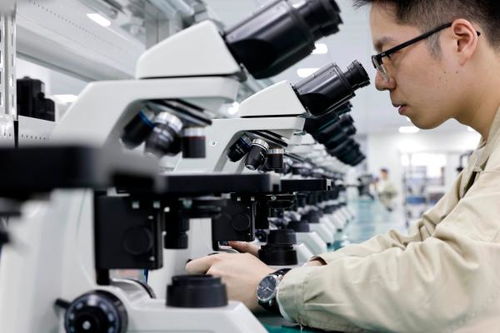 寧波集成品質(zhì)標(biāo) 賦能發(fā)展新質(zhì)生產(chǎn)力的技術(shù)咨詢之路